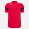 Albanien Nationalmannschaft FSHF 2026/27 Rotes Trainingshemd für Erwachsene Albanien Nationalmannschaft FSHF 2026/27 Rotes Trainingshemd für Erwachsene