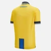 Apoel FC 2025/26 Heim-Trikot für Erwachsene Apoel FC 2025/26 Heim-Trikot für Erwachsene