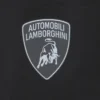 Automobili Lamborghini Herren-Shorts