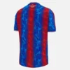 FA-Cup-Finale-Heimhemd Crystal Palace FC FA-Cup-Finale-Heimhemd Crystal Palace FC