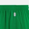 FC Nantes 2025/26 Heim-Shorts für Erwachsene FC Nantes 2025/26 Heim-Shorts für Erwachsene