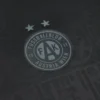 FK Austria Wien 2025/26 Trikots Special Edition FK Austria Wien 2025/26 Trikots Special Edition