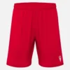 Galax Shorts