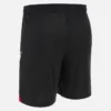 Georgischer Fußballverband 2025/26 Auswärtsshorts für Erwachsene Georgischer Fußballverband 2025/26 Auswärtsshorts für Erwachsene