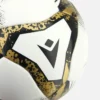 Golpeo-Ball