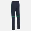 Irland Cricket Team 2026/28 T-20 Hose für Erwachsene