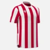 Legion Trikot