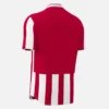 Legion Trikot