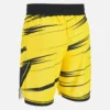 Ludwisburg 2025/26 Home-Shorts für Erwachsene Ludwisburg 2025/26 Home-Shorts für Erwachsene