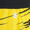 Ludwisburg 2025/26 Home-Shorts für Erwachsene Ludwisburg 2025/26 Home-Shorts für Erwachsene