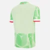 Reading FC 2025/26 Drittes Trikot für Erwachsene Reading FC 2025/26 Drittes Trikot für Erwachsene
