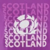 Scottish Rugby 2025/26 Lila Freizeit-T-Shirt Scottish Rugby 2025/26 Lila Freizeit-T-Shirt