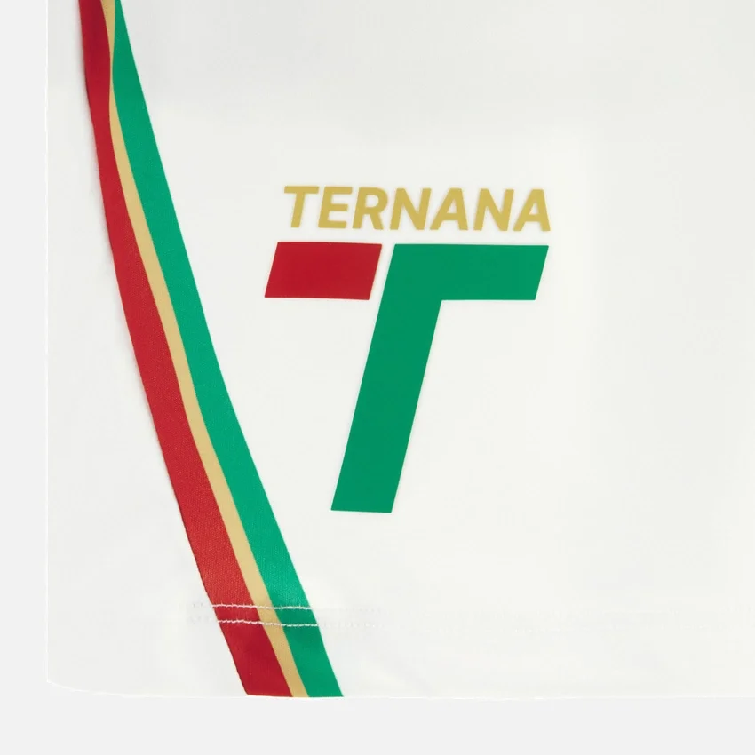 Ternana Calcio 2025/26 Dritte Shorts für Erwachsene Ternana Calcio 2025/26 Dritte Shorts für Erwachsene