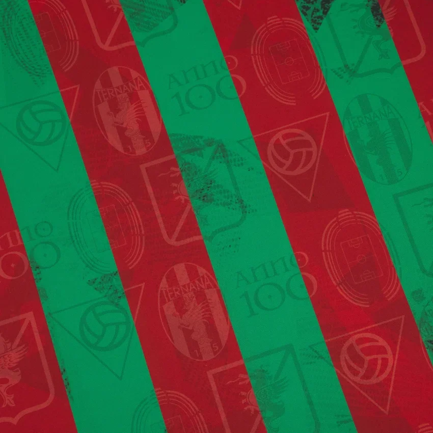 Ternana Calcio 2025/26 Heim-Trikot für Erwachsene Ternana Calcio 2025/26 Heim-Trikot für Erwachsene