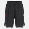 Welsh Rugby 2025/26 Basketball-Shorts