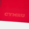 Welsh Rugby 2025/26 Heim-Hemd Welsh Rugby 2025/26 Heim-Hemd