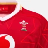 Welsh Rugby 2025/26 Home Pathway Replica-Hemd