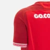 Welsh Rugby 2025/26 Heim-Replica-Hemd