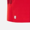Welsh Rugby 2025/26 Heim-Replica-Hemd