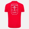 Welsh Rugby 2025/26 Rotes Fan-T-Shirt Welsh Rugby 2025/26 Rotes Fan-T-Shirt