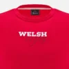 Welsh Rugby 2025/26 Rotes Fan-T-Shirt Welsh Rugby 2025/26 Rotes Fan-T-Shirt