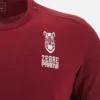 Zebre Parma 2025/26 Reisehemd für Erwachsene Zebre Parma 2025/26 Reisehemd für Erwachsene